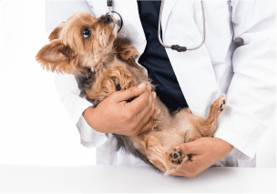 ワクチン接種について